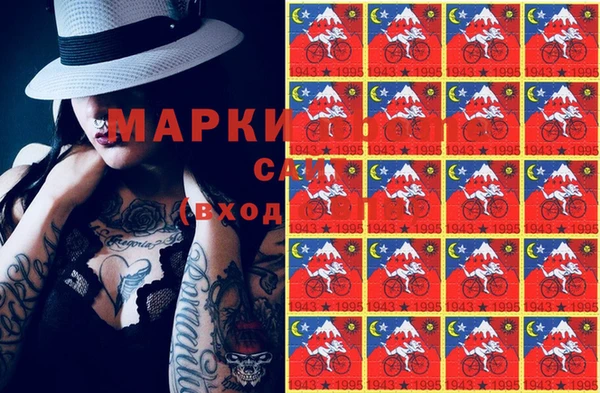 Альфа ПВП Горняк