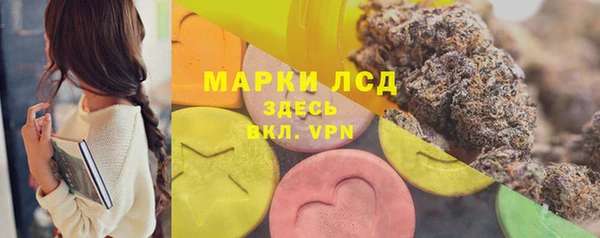 Альфа ПВП Горняк